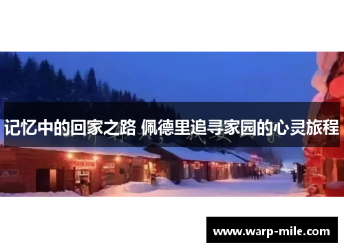 记忆中的回家之路 佩德里追寻家园的心灵旅程