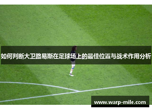 如何判断大卫路易斯在足球场上的最佳位置与战术作用分析