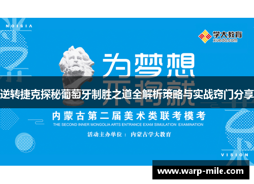 逆转捷克探秘葡萄牙制胜之道全解析策略与实战窍门分享